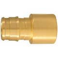 Apollo Valves Pipe Adapter, 12 in, PEXA Barb x Sweat, Brass, 200 psi Pressure EPXFS1212